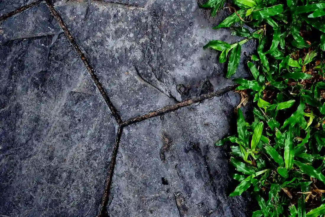 china sandstone stepping stones