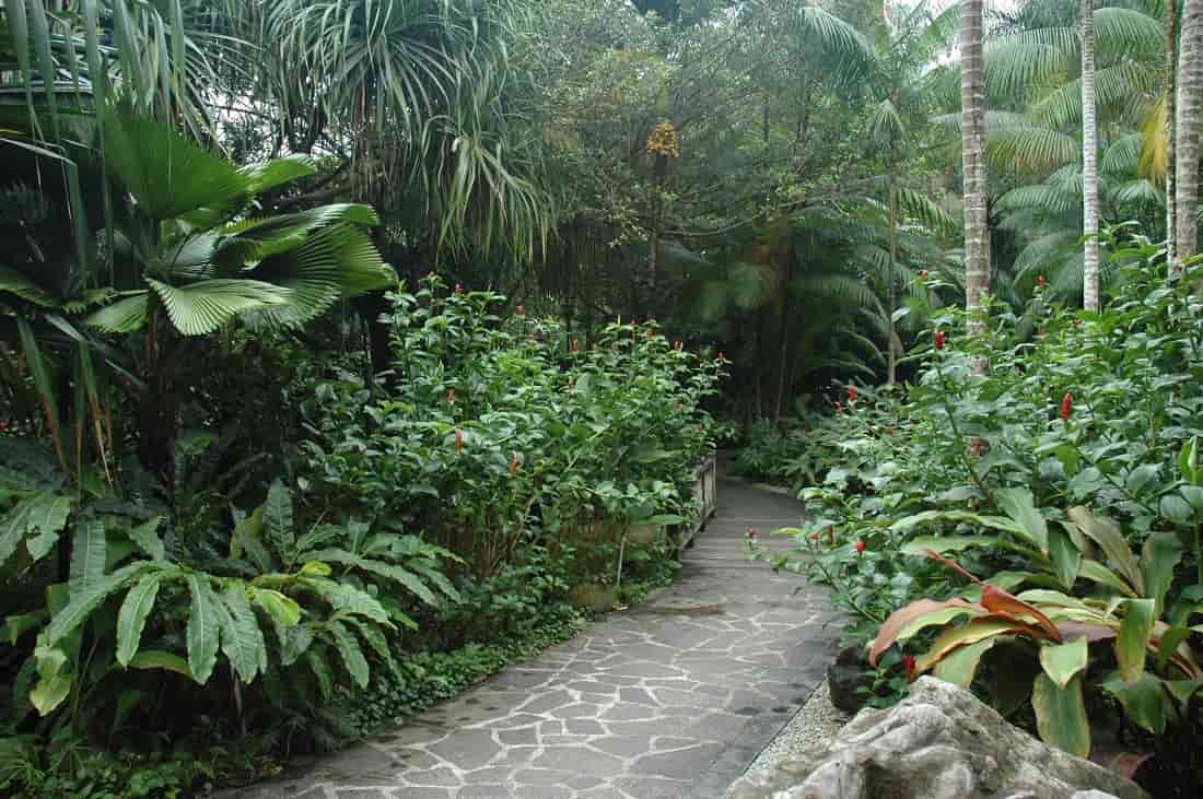 flagstone types and prices